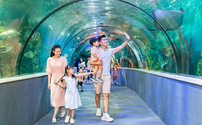 Times City Có Gì Chơi? Khám Phá 5+ Khu Giải Trí Hấp Dẫn Nhất