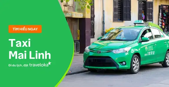 Review Hãng Taxi Mai Linh: Giá Cước, Dịch Vụ, Số Hotline
