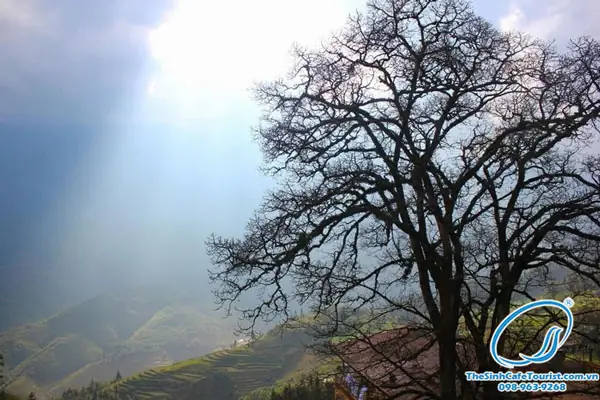 Tour Du Lịch Sapa Dành Cho 2 Người Trọn Gói Giá Siêu Rẻ