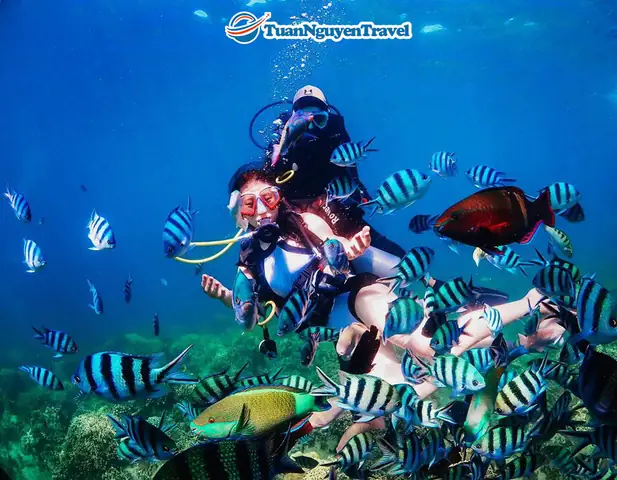 Ngày 2: Du Ngoạn Vịnh Nha Trang(ăn Sáng, Trưa, Tối)