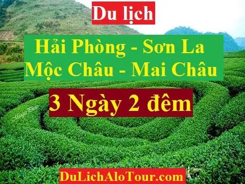 Tour Hải Phòng - Sơn La - Mộc Châu - Mai Châu