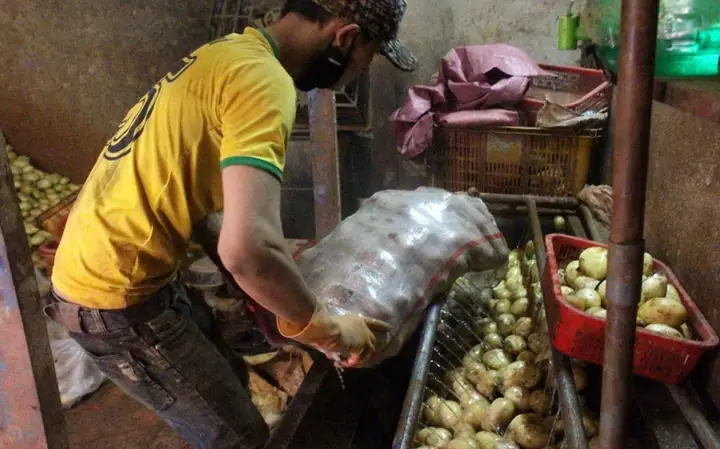 Cấm Kinh Doanh Nông Sản, Khoai Tây Có Xuất Xứ Không Rõ Ràng Cấm Kinh Doanh Nông Sản, Khoai Tây Có Xuất Xứ Không Rõ Ràng