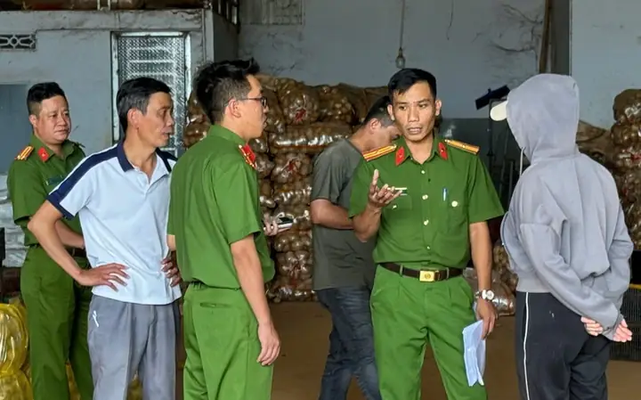 Trung Tâm Làm Giả Khoai Tây Đà Lạt Nằm Ở Đâu? - Ảnh 2. Trung Tâm Làm Giả Khoai Tây Đà Lạt Nằm Ở Đâu? - Ảnh 2.