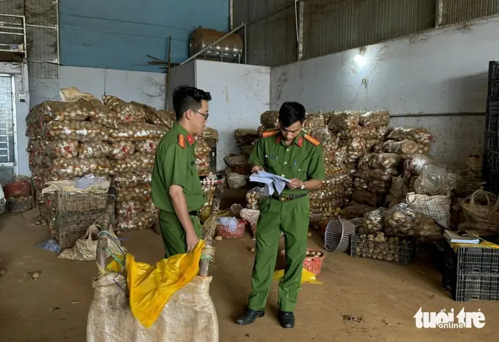 Trung Tâm Làm Giả Khoai Tây Đà Lạt Nằm Ở Đâu? - Ảnh 1. Trung Tâm Làm Giả Khoai Tây Đà Lạt Nằm Ở Đâu? - Ảnh 1.