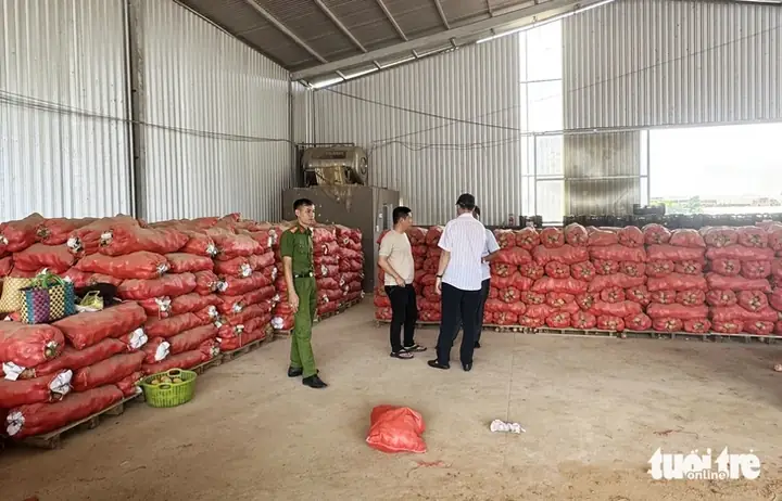 Cấm Kinh Doanh Nông Sản, Khoai Tây Có Xuất Xứ Không Rõ Ràng Cấm Kinh Doanh Nông Sản, Khoai Tây Có Xuất Xứ Không Rõ Ràng