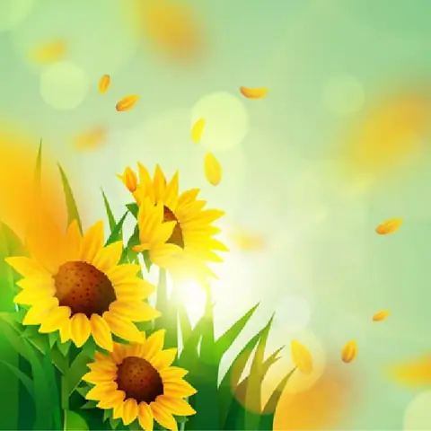 Cách Vẽ Hoa Hướng Dương Bằng Chì Đơn Giản