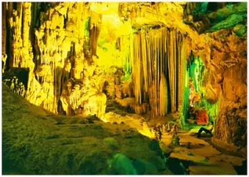 Dựa Vào Văn Bản Động Phong Nha, Em Hãy Tưởng Tượng Và Miêu Tả ... Dựa Vào Văn Bản Động Phong Nha, Em Hãy Tưởng Tượng Và Miêu Tả ...