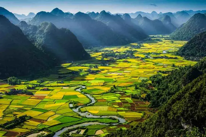 Nhiệt Đới Gió Mùa