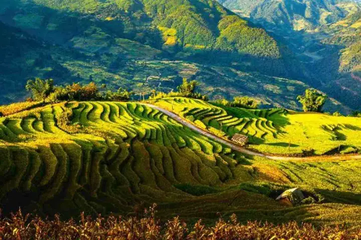 Địa Hình