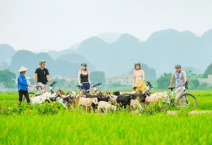 Wandering Around Ninh Binh Bicycle Wandering Around Ninh Binh Bicycle