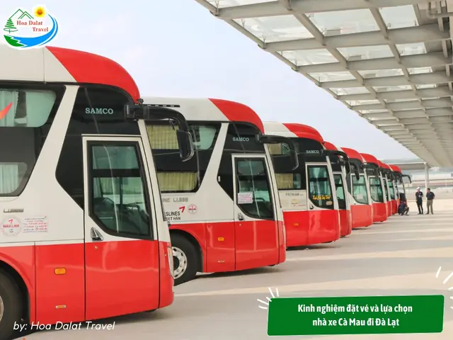 Kinh Nghiệm Đặt Vé Và Lựa Chọn Nhà Xe Cà Mau Đi Đà Lạt Kinh Nghiệm Đặt Vé Và Lựa Chọn Nhà Xe Cà Mau Đi Đà Lạt